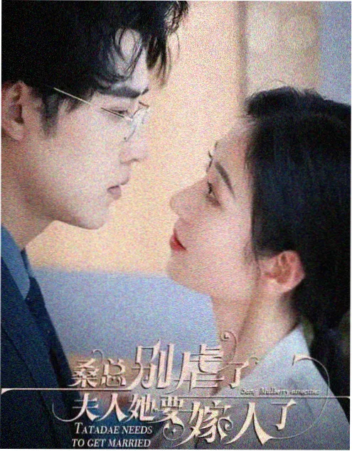 风骚律师